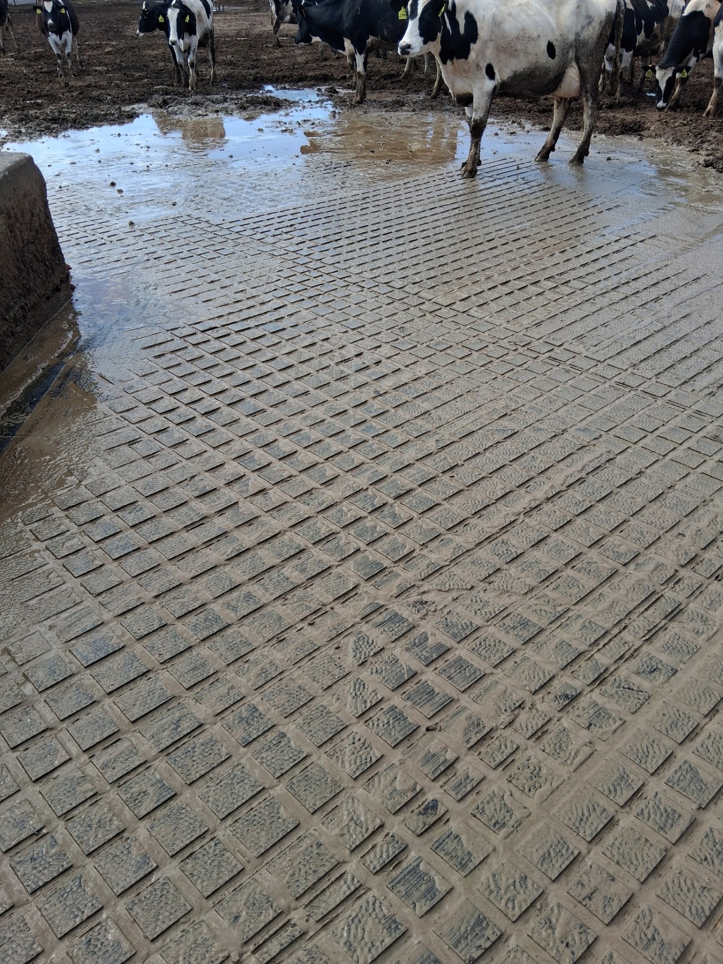Concrete Grooving